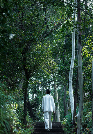 隐秀山居酒店山丘漫步,与自我共鸣