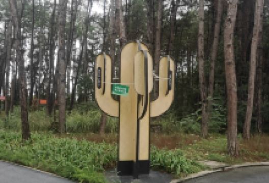 青松林海公园景点图片