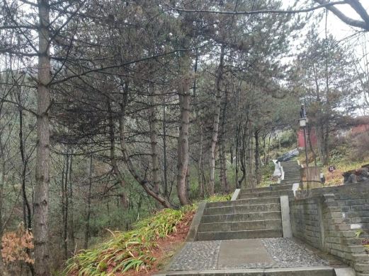 白云山公园