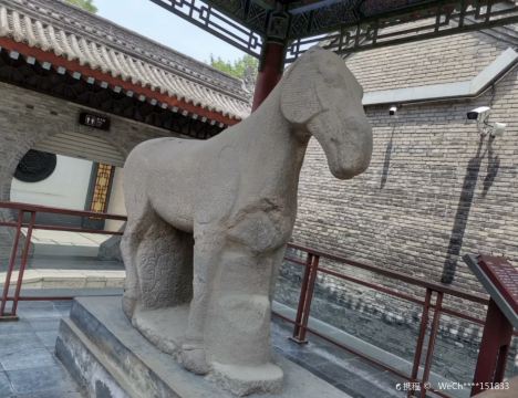 西安碑林博物馆-大夏石马