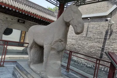 西安碑林博物馆-大夏石马