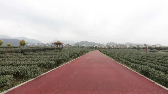 茶場新區移民休閑公園