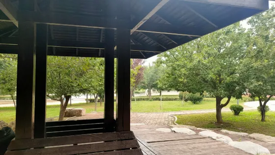 王台公園