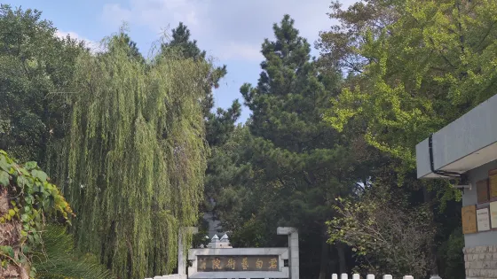 錢君匋藝術院