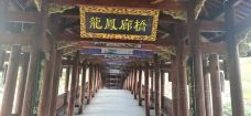 龙凤廊桥-泰顺-小马哥旅行日记
