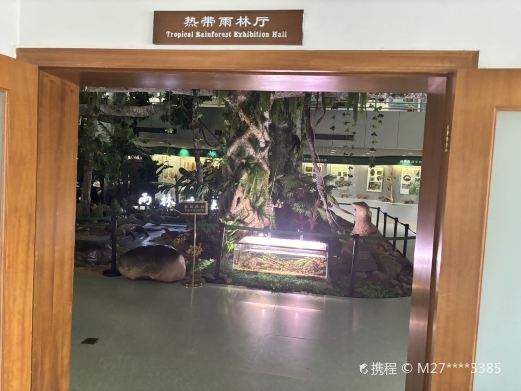 热带雨林民族文化博物馆