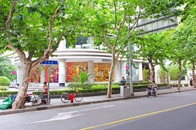 思南路