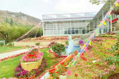 名花谷