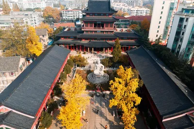 毗卢寺