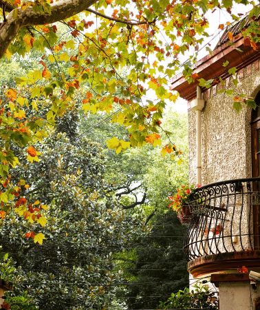 8D7N • From Shanghai's Bund to Yancheng's wetlands, Yangzhou's Slender West Lake, Zhenjiang's Jinshan, Nanjing's Qinhuai River, Maoshan Mountain, and Wuxi's Taihu Lake - a grand Jiangsu discovery