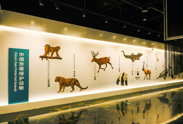 Gallery 3