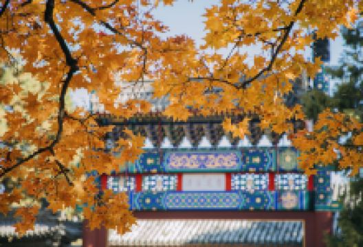 香山公园景点图片