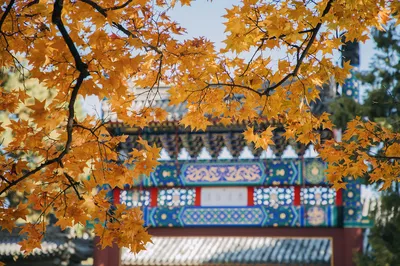 香山公园