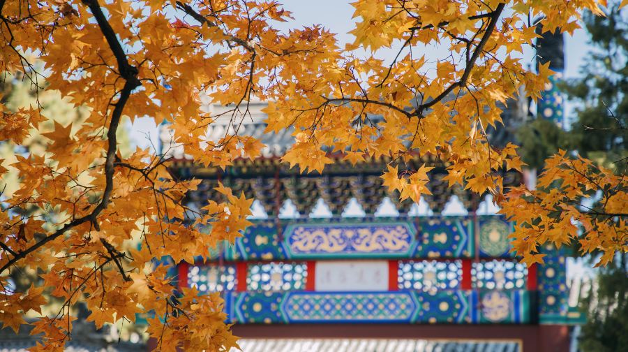 香山公园