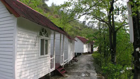 Long Mu Jing Farm