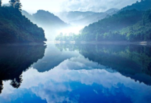 阳明山国家森林公园景点图片