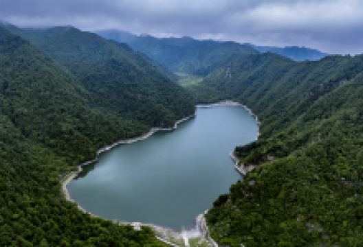 孟达国家级自然保护区景点图片