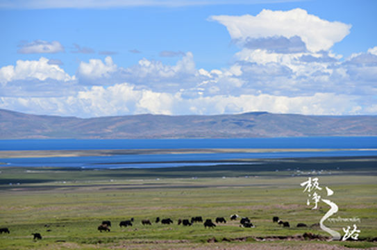 《极净之路》取景地,西藏这两个小众景点必须安排上