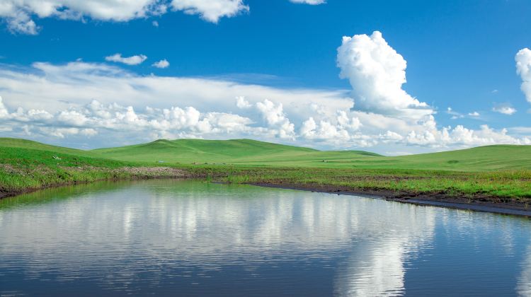 6-Day China + Inner Mongolia + Hulunbuir + Hulunbuir Grasslands + Moergle River Scenic Area + Inner Mongolia Ergun National Wetland Park