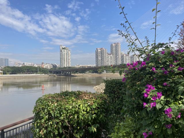 爱情岛旅行图片 3