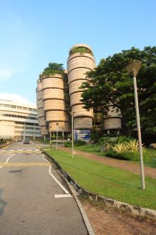 新加坡南洋理工大学-新加坡-fooler0809