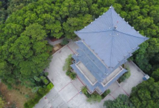 凤岗人民公园景点图片