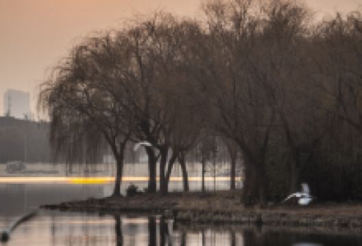 红莲湖公园景点图片