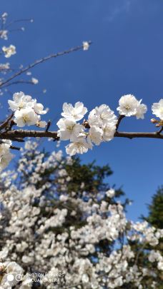 大幕山森林公园-通山-YoYo_2V7C6H1M