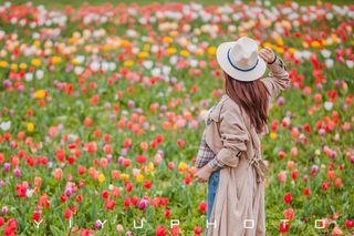 北京遛娃好去处|去顺义鲜花港赏花看春天