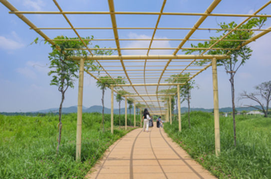 周末自驾游德清下渚湖,住莫干山民宿,飞天圆仙侠梦