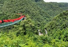 娄山关景区-遵义-gz当地向导伊妹儿