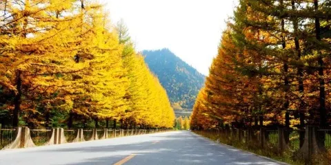 那達慕文化廣場