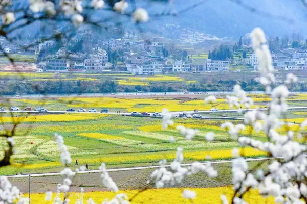 乡游黔中 | 相约贵定红旗村，邂逅金海雪山的限定春景