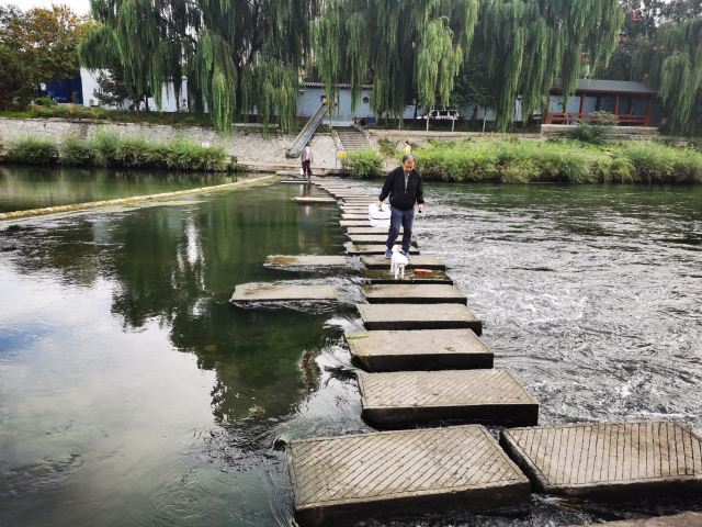万芳亭公园旅行图片 4