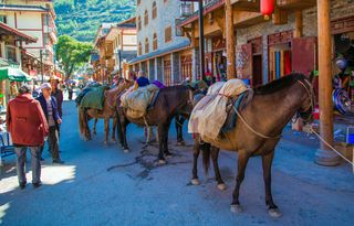“一人一马”与马帮同行穿越七藏沟，把纯净空灵的松潘美景尽收眼底