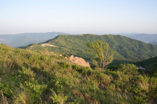 玫瑰谷旅行图片 5