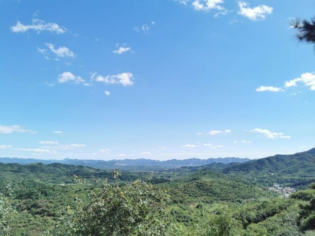 大石山森林公园旅行图片 13