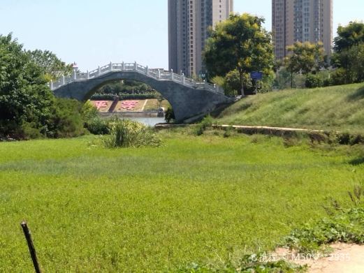 友兰湿地公园