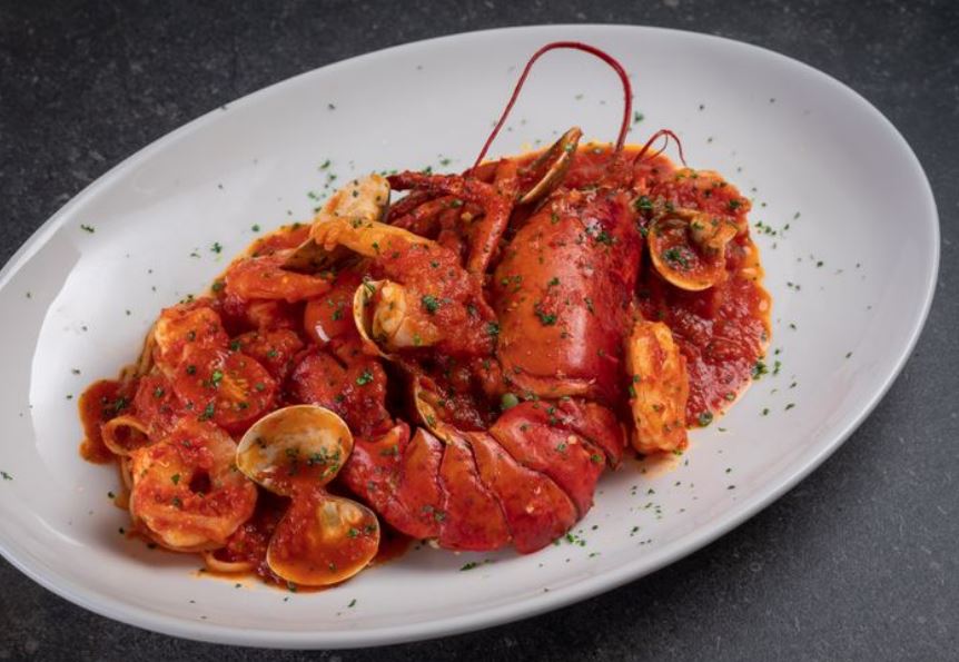 The Lotus Garden 莲花园