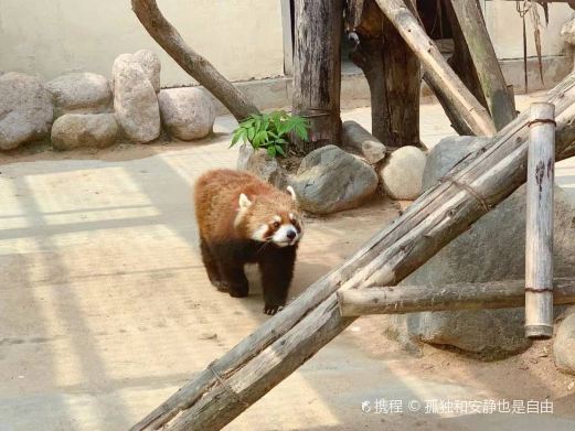 青岛动物园