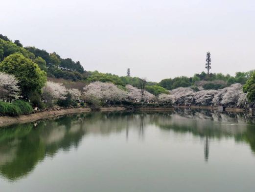 湘南植物园