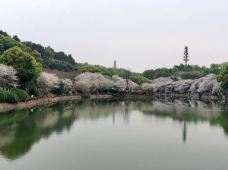 湘南植物园-资兴