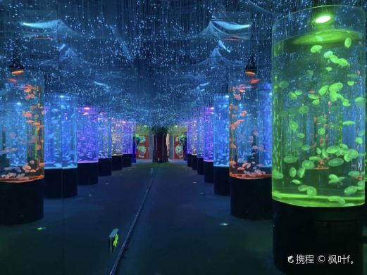 金华万泰海立方海洋公园