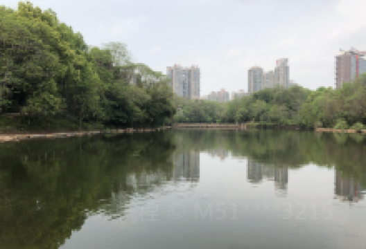 生态公园景点图片