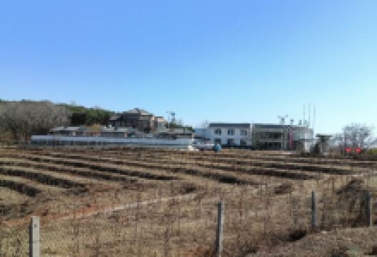 燕东生态园景点图片