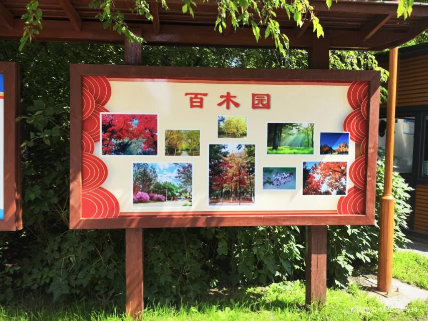 Gallery 1