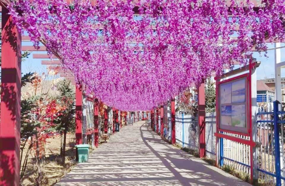 千紫缘农业科技博览园