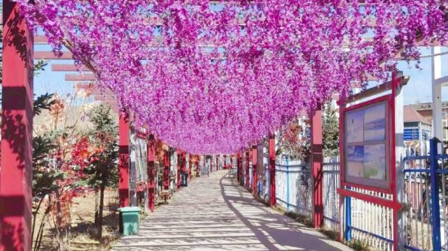 千紫缘农业科技博览园