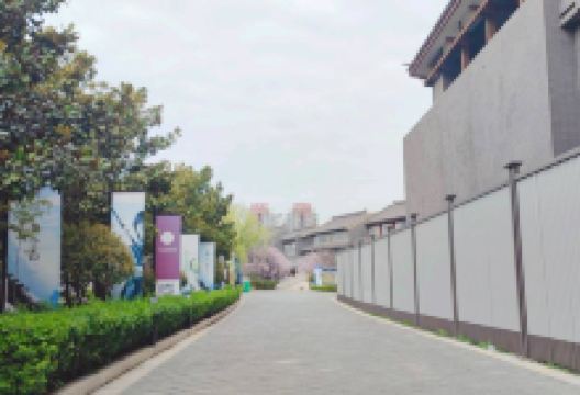 鲁南水城·枣庄老街景点图片