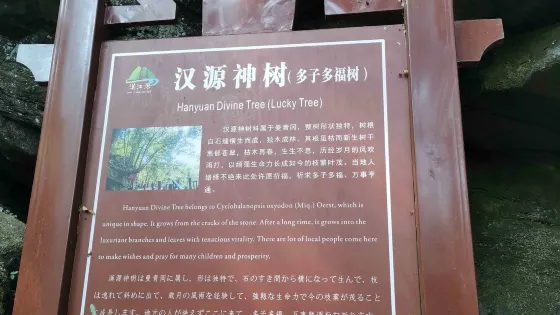 漢源神樹